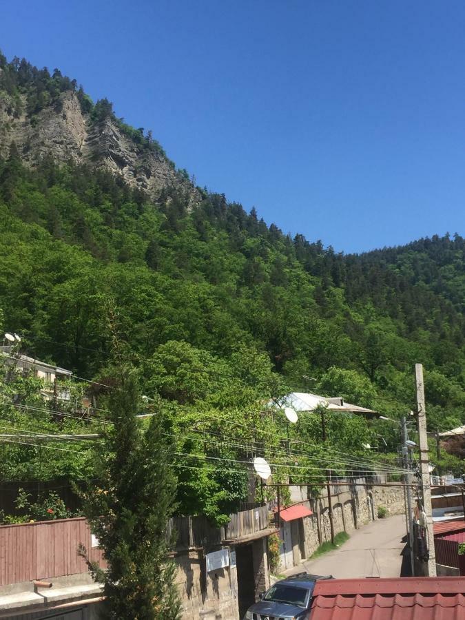 Hotel Victoria-Panorama Borjomi Exterior photo